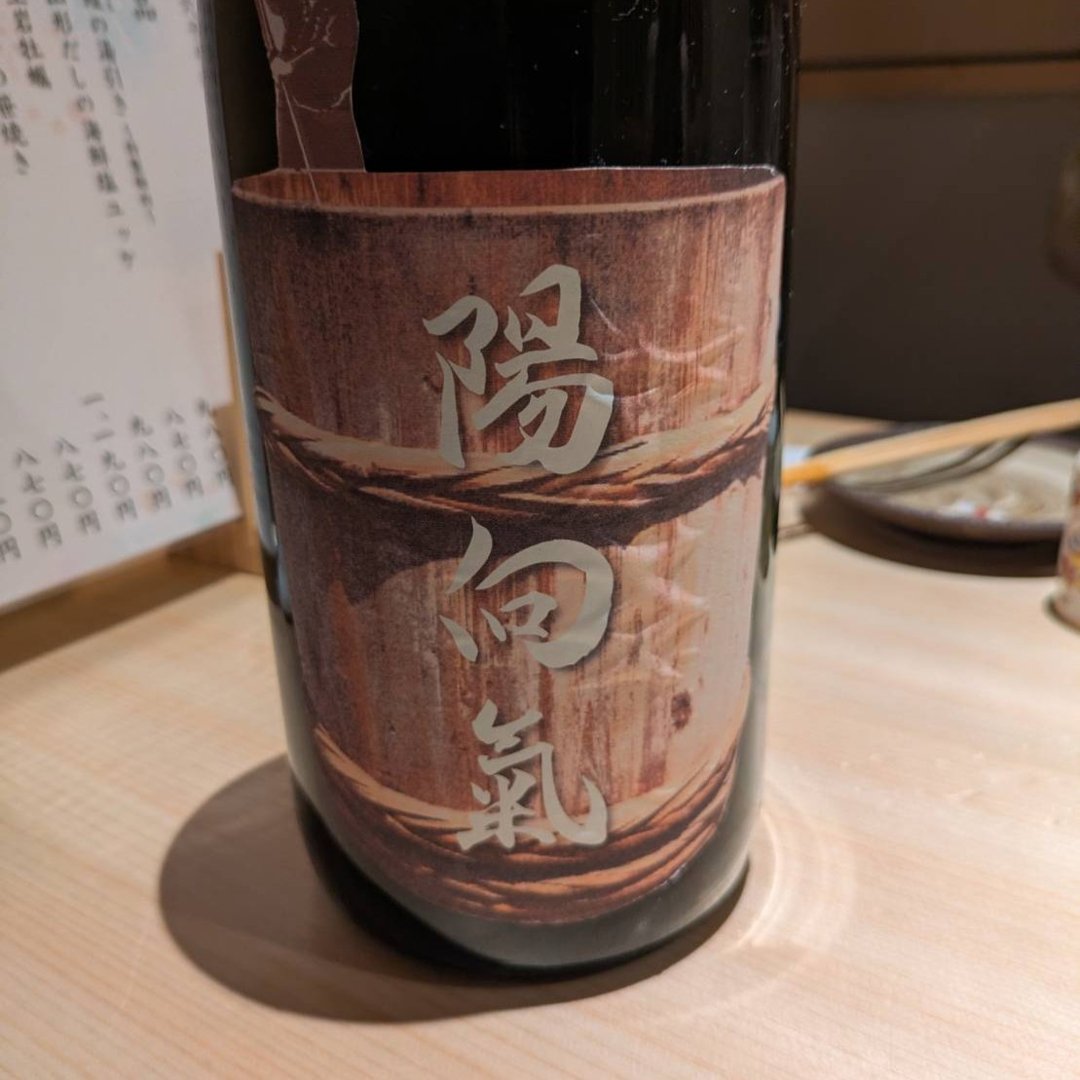 陽向氣（ひたむき）