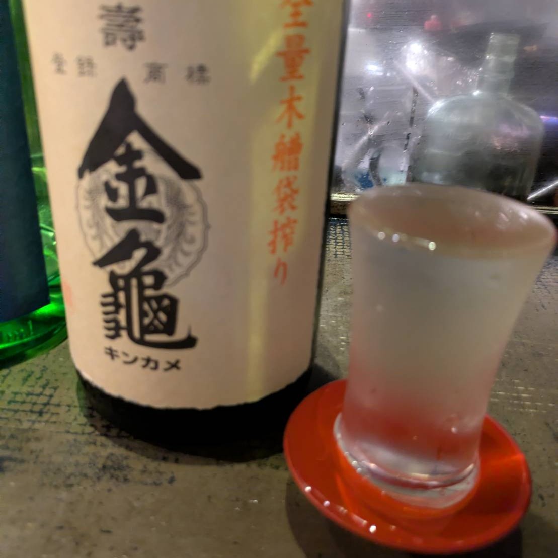 長寿金亀 亀黒50